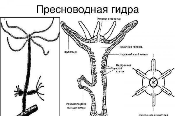 Маркет кракен маркетплейс