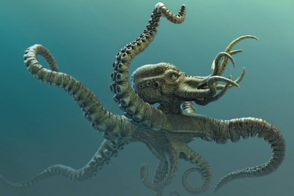 Kraken ссылка тор