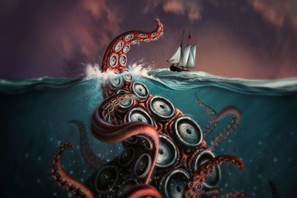 Kraken support